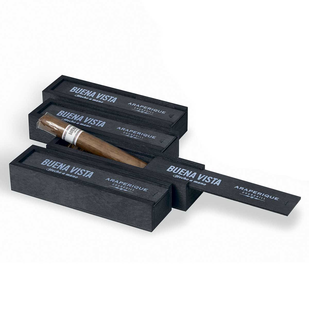 Buena Vista Araperique Churchill