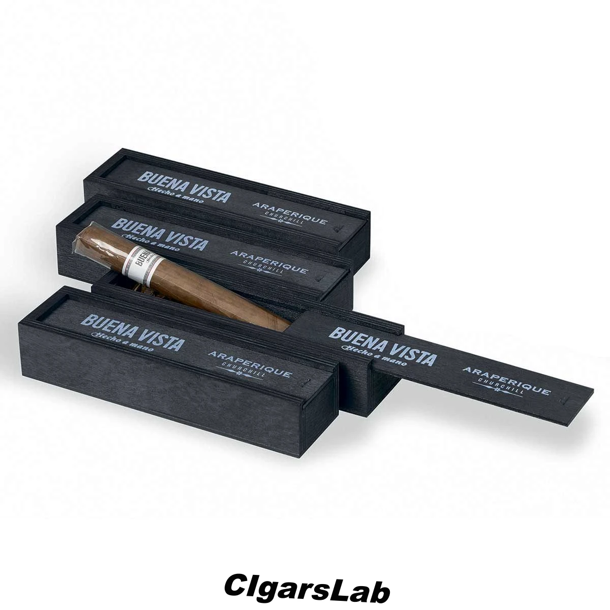 Buena Vista Araperique Churchill