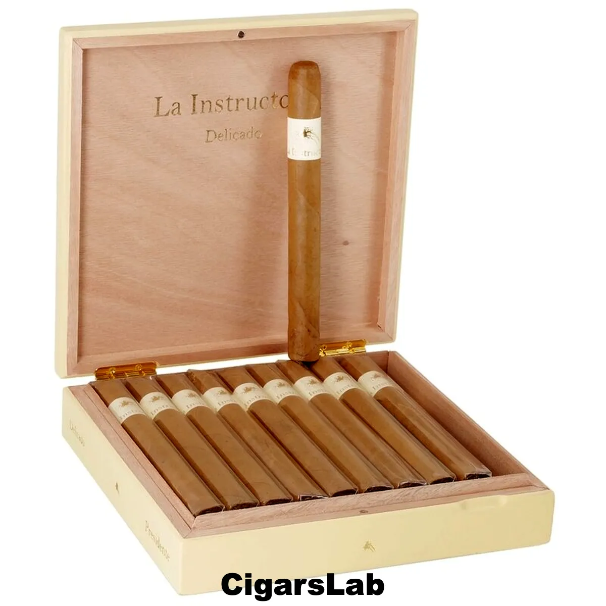 La Instructora Delicado Presidente